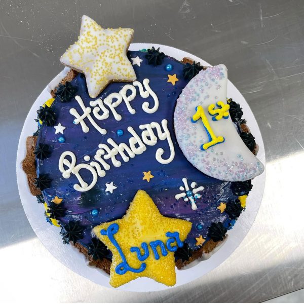 Birthday space dog cake