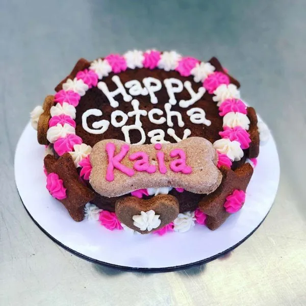 happy gotcha day kaia