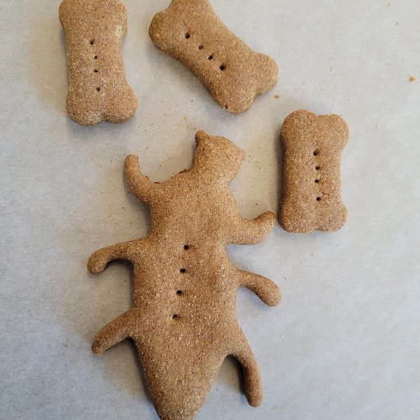 stink bug project biscuits stink bug project biscuits dog treats