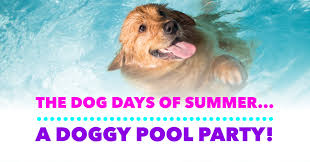 pool partee