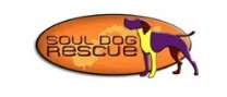 Soul Dog Rescue