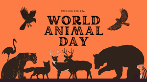 world animal day
